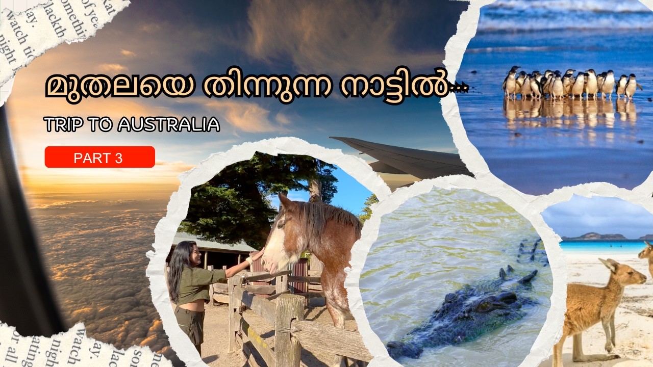 മുതലയെ തിന്നുന്ന നാട്ടിൽ... AUSTRALIAN TRIP PART 3