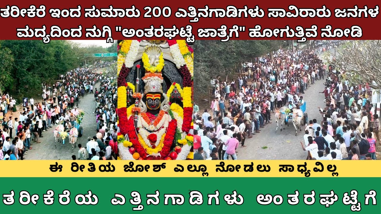 ತರೀಕೆರೆ ಇಂದ 200 ಎತ್ತಿನಗಾಡಿಗಳು ಸಾವಿರಾರು ಜನಗಳ ಮದ್ಯದಿಂದ ನುಗ್ಗಿ ಅಂತರಘಟ್ಟೆ ಜಾತ್ರೆಗೆ ಹೋಗುತ್ತಿವೆ #jathre