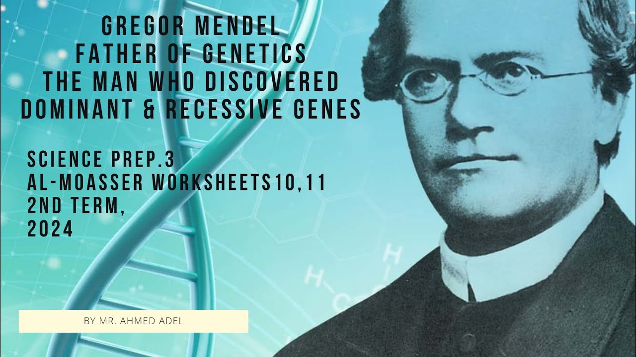 science prep.3 | Worksheets 10,11 - Al Moasser 2nd term -حل شيتات معاصر ...