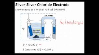 Ch 14 - 2 - Silver-Silver Chloride Electrode