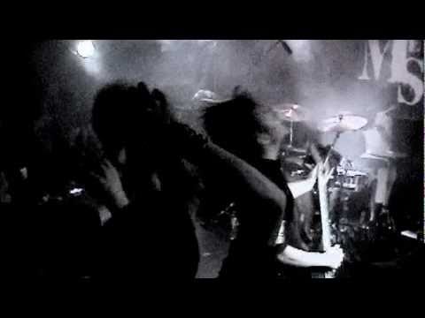 How To DieMetal Safari
