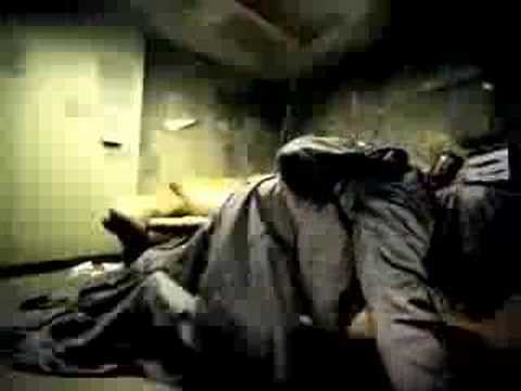The Used - The Bird And The Worm (Video)