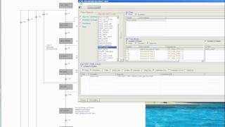 SFCDocument Demo.mp4