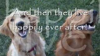 Don Lefever Pasco Florida Golden Retrievers Hip Dysplasia Femoral Head Ostectomy Surgery