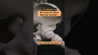 Biz İnsanı En Güzel Biçimde Yarattık.. Tîn Sûresi 4