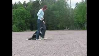 MVI_0576.AVI