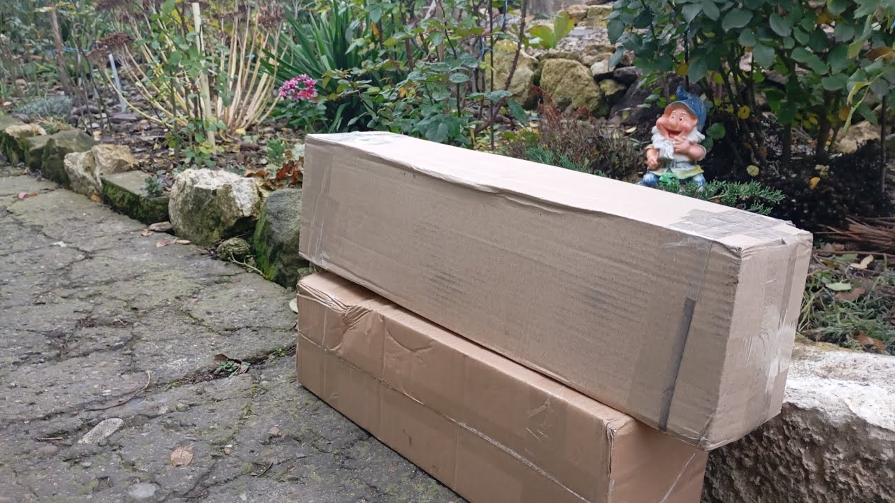 Саджанці від двох продавців🌹🥳🇺🇦