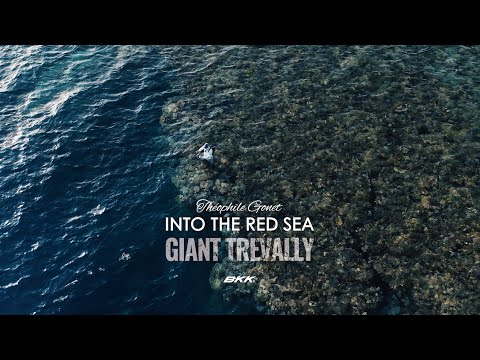 BKK x Théophile Gonet — Into The Red Sea