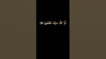 كروما سوداء سورة التكاثر #الشيخ_حسن_صالح