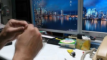 Film Canopy of My Green Bird (V120D02S)