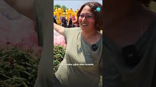 Araka Hasadı Yapıldı