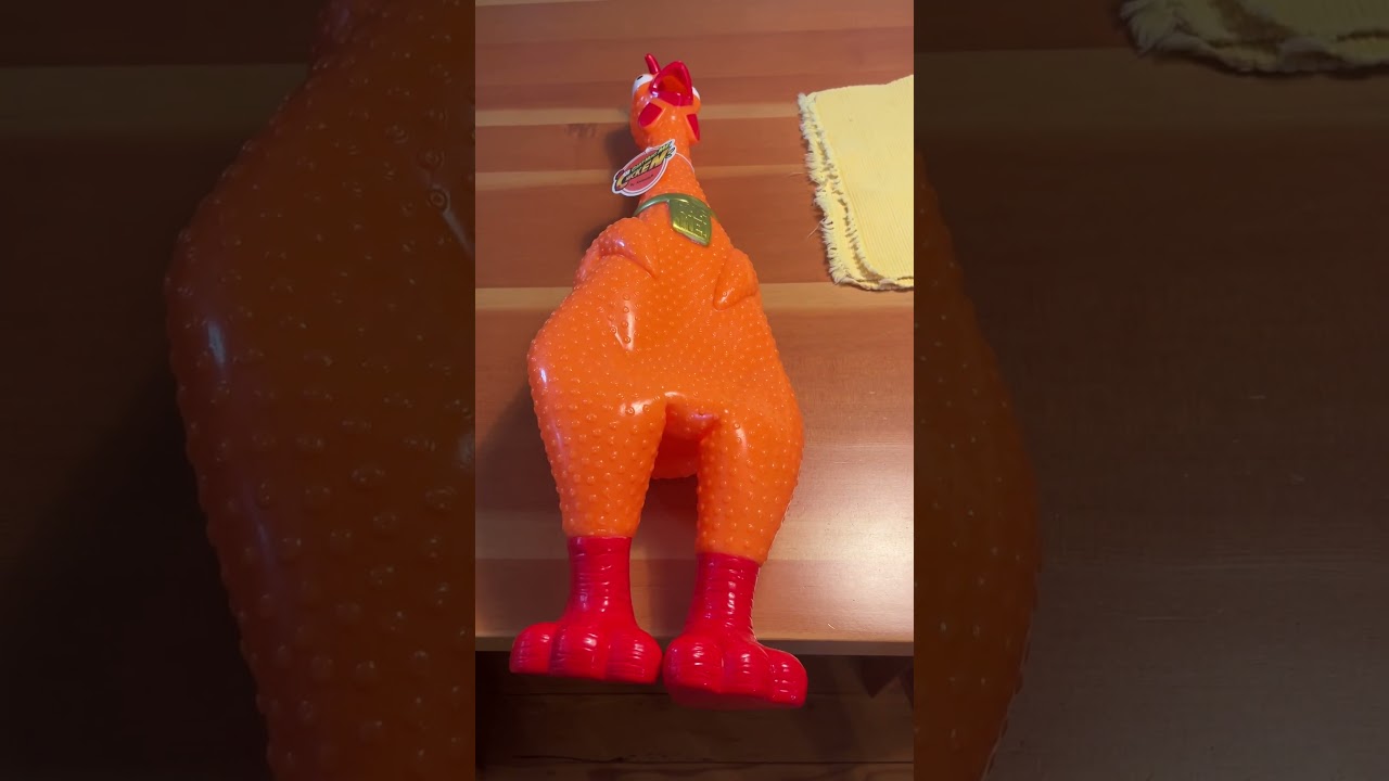I Bought A Giant Rubber Chicken!😱