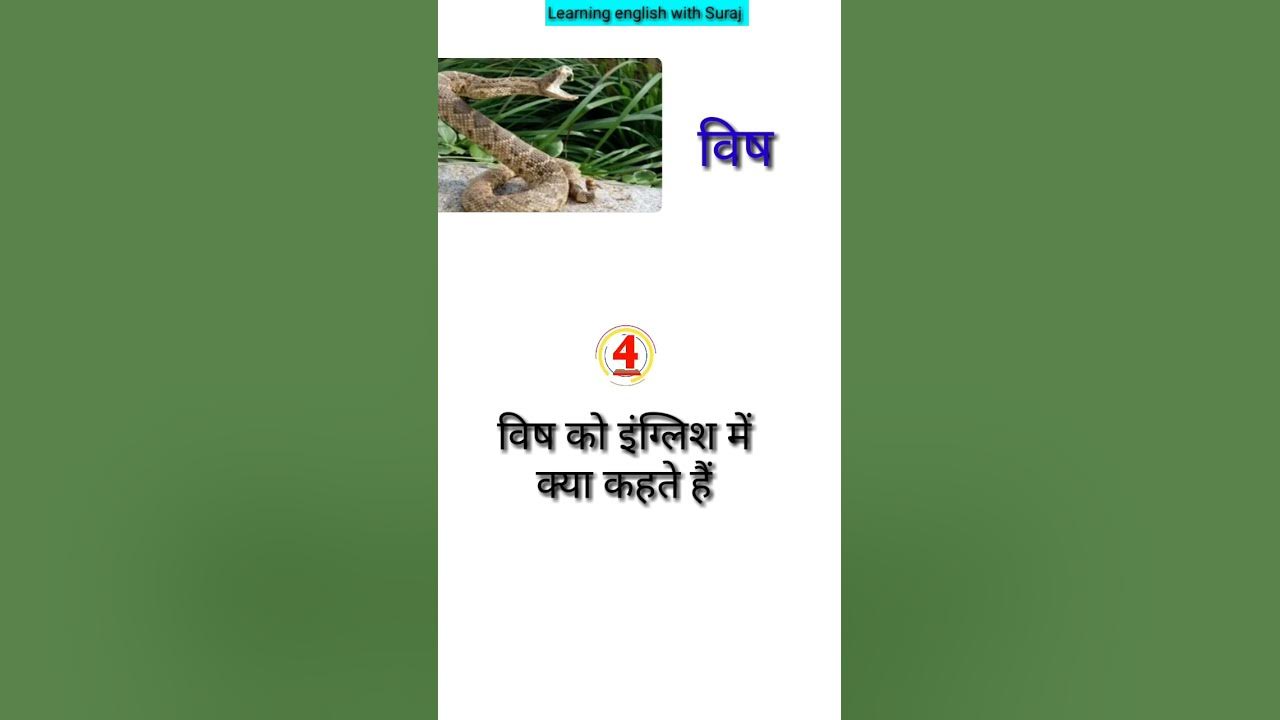 vish-ka-english-kya-hoga-spoken