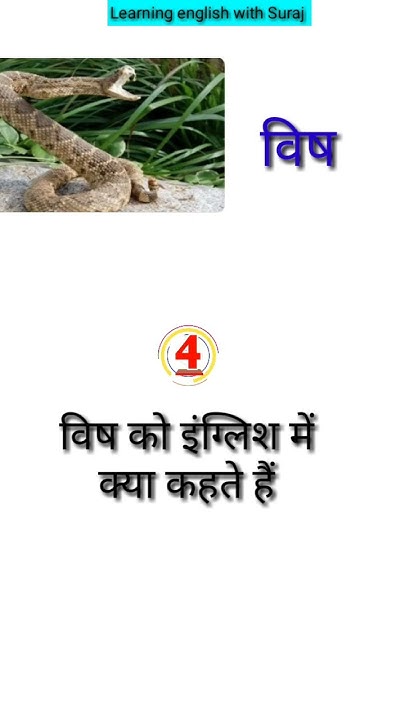 Vish Ka English Kya Hoga Spoken vish-ka-english-kya-hoga-spoken