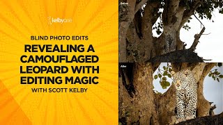 Revealing a Camouflaged Leopard with Editing Magic with Scott Kelby (Blind Photo Edit)