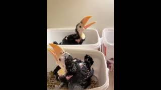 He Became Their Family ❤️