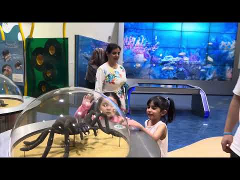 Little Sister Discovered Hidden Secret Inside Camel’s Tummy | Siblings Explore Dubai Children City