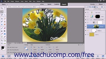 Photoshop Elements 2018 Tutorial Locking Pixels in Layers Adobe Training