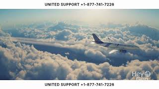 What is the phone number for United Airlines customer support?