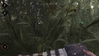 Hunt Showdown Got Em Again