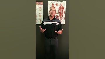 Why Do Sports Teams Have Chiropractors