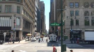 New York Summer 2015