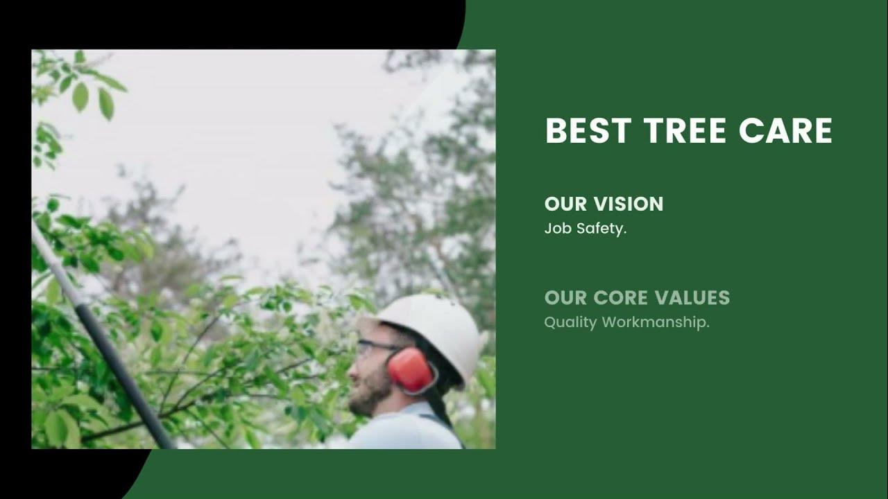 Tree Surgeons Townsville Best Tree Services Near Me Stump Grinding