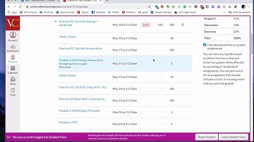 Annotated feedback in canvas