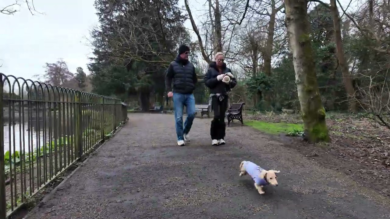 Chiswick House and Gardens  20th February 2026