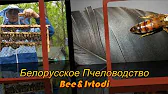 Белорусское Пчеловодство Bee&Ivtodi