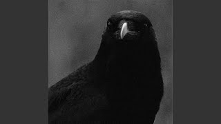 Darkness