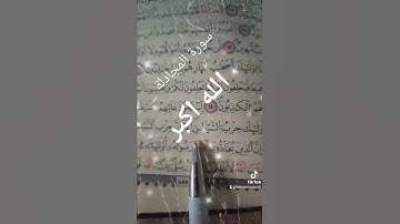 سورة المجادلة اية 19