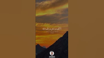 #محمد_سبيعان #انشر_تؤجر #قران_كريم #صوت_جميل #اكسبلور  #الامارات #قران_راحة_نفسية #سورة_الواقعة