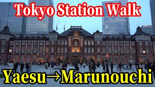 Let's walk through the Tokyo Station!