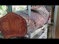 penggergajian kayu mahoni besar bahan baku papan lebar 60 cm.indonesian Mahogany sawing