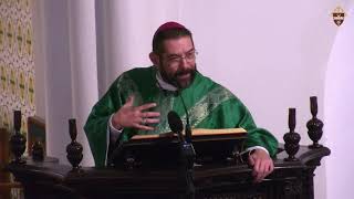 Bishop Daniel E.  Flores  Thirty first Sunday in Ordinary Time Homily