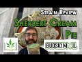 Strain Review - Sherbert Cream Pie (LSO) - Buds By Mail