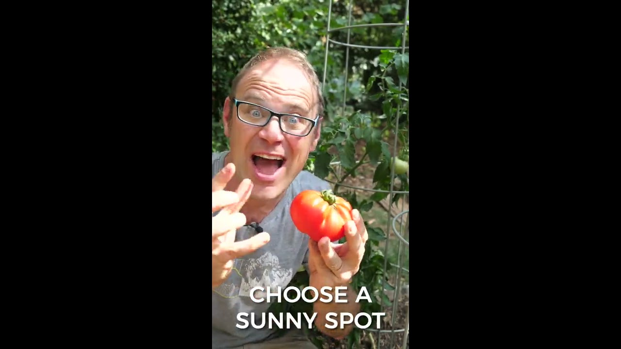 5 Superfoods You Should Grow