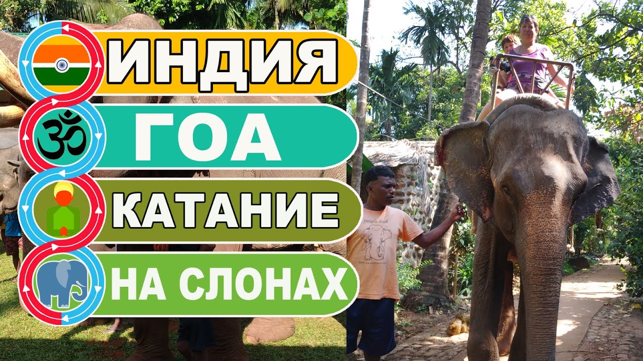 Индия Гоа. Катание на индийских слонах / JUNGLE BOOK PARK