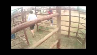 Run For Your Lives (Part 2) - Cedar Creek TX - 20121215