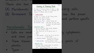 11th class biology 6th chapter easy notes #anatomyoffloweringplants #easynotes4uonlinestudy #biology