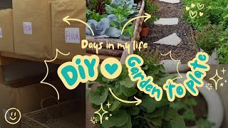 Plant care, Comfort food and DIY hacks + A surprising discovery.
