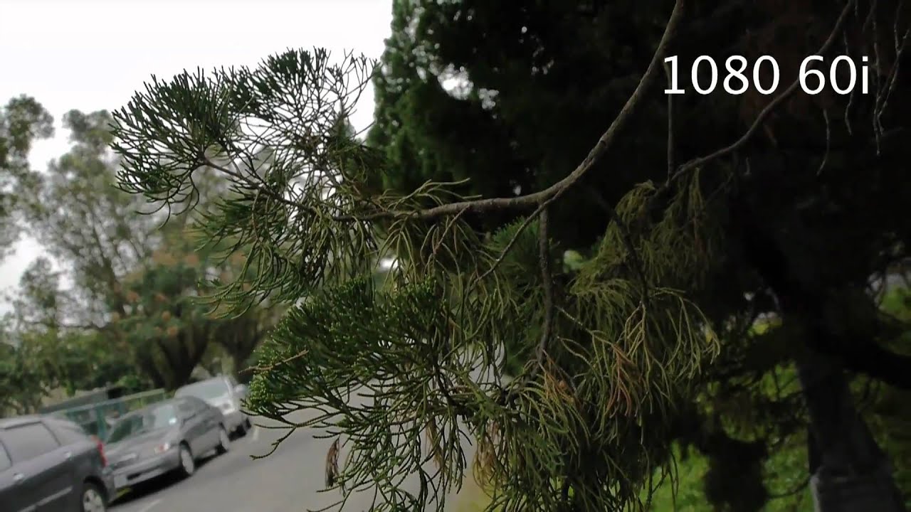 Test between I and P (720 60p & 1080 60i/30p/24p) YouTube Test between I and P (720 60p & 1080 60i/30p/24p) YouTube