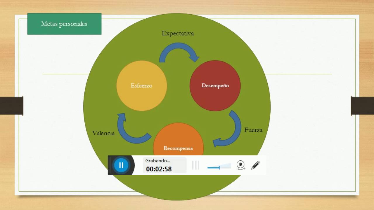 TEORIA DE LAS  EXPECTATIVAS DE VROOM EPUB