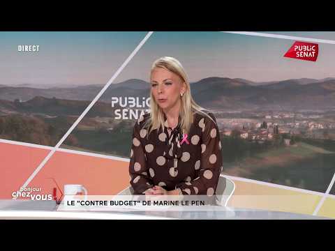 Loi « casseurs-payeurs » : « Si les élèves doivent payer toute leur vie, ça me va», Edwige Diaz (RN)