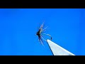 Tying a Greenbottle Spider (Dry Fly) by Davie McPhail