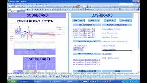 The One Page Report an Excel Dashboard and Scorecard