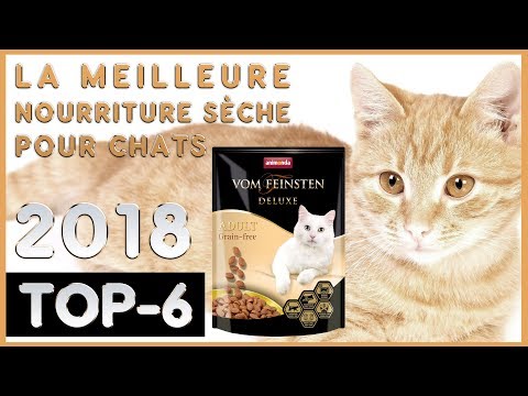 Vidéo: Avis Sur La Nourriture Pour Chats 