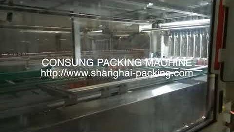 automatic carton tray packer+film shrink wrapper machine
