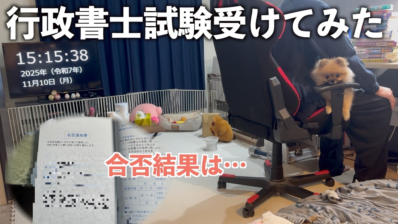 Хозяин и померанский шпиц нервничают при объявлении результатов экзамена [День 952]